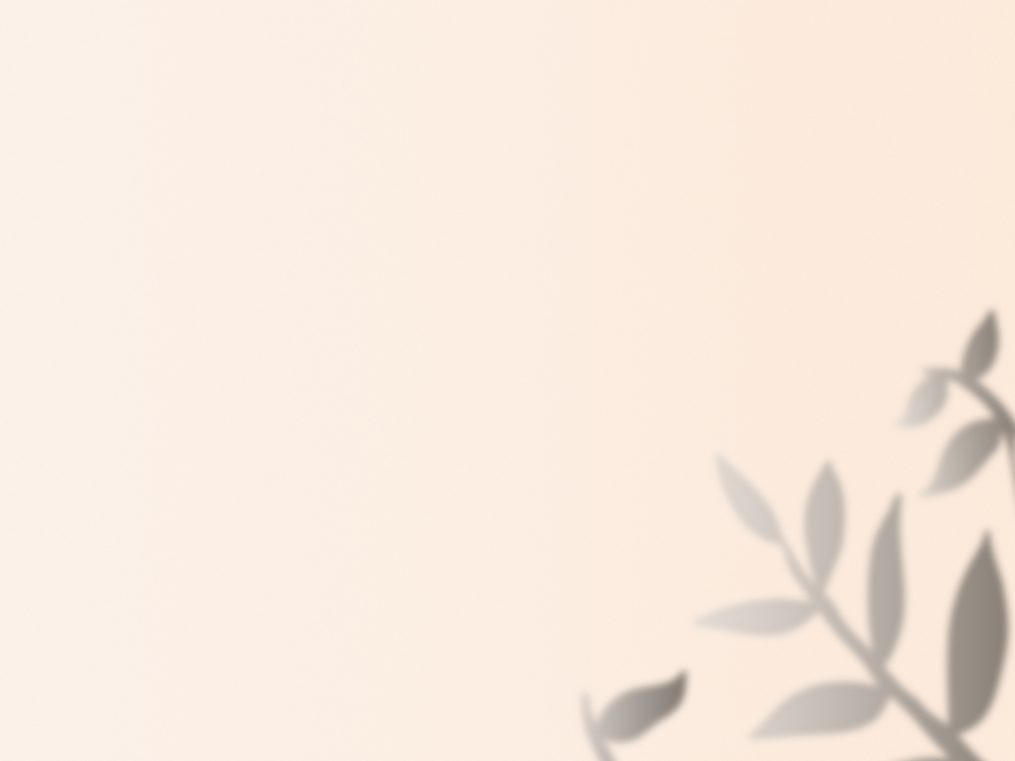 Stem of Leaves Shadow on Pastel Background Copy Space